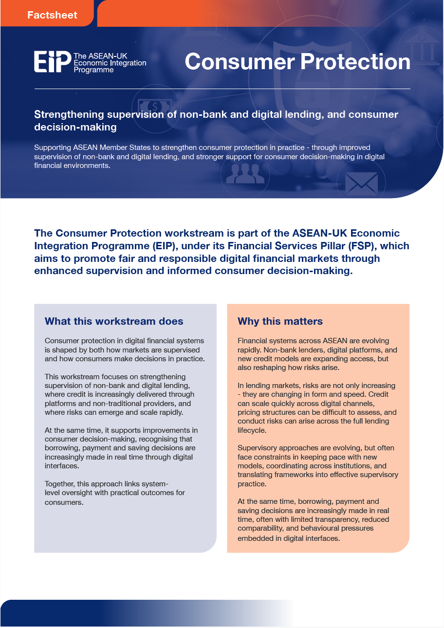 The EIP Financial Services Pillar - Consumer Protection fact sheet